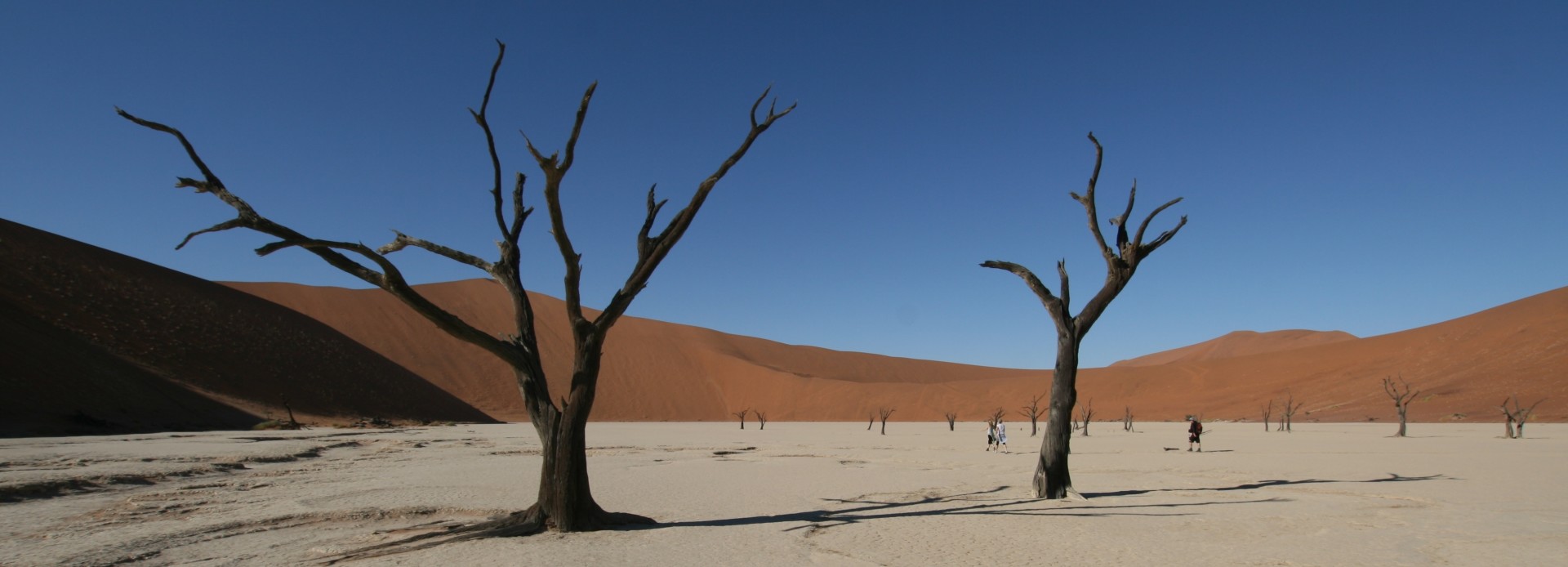 Namibia im Dead Vlei