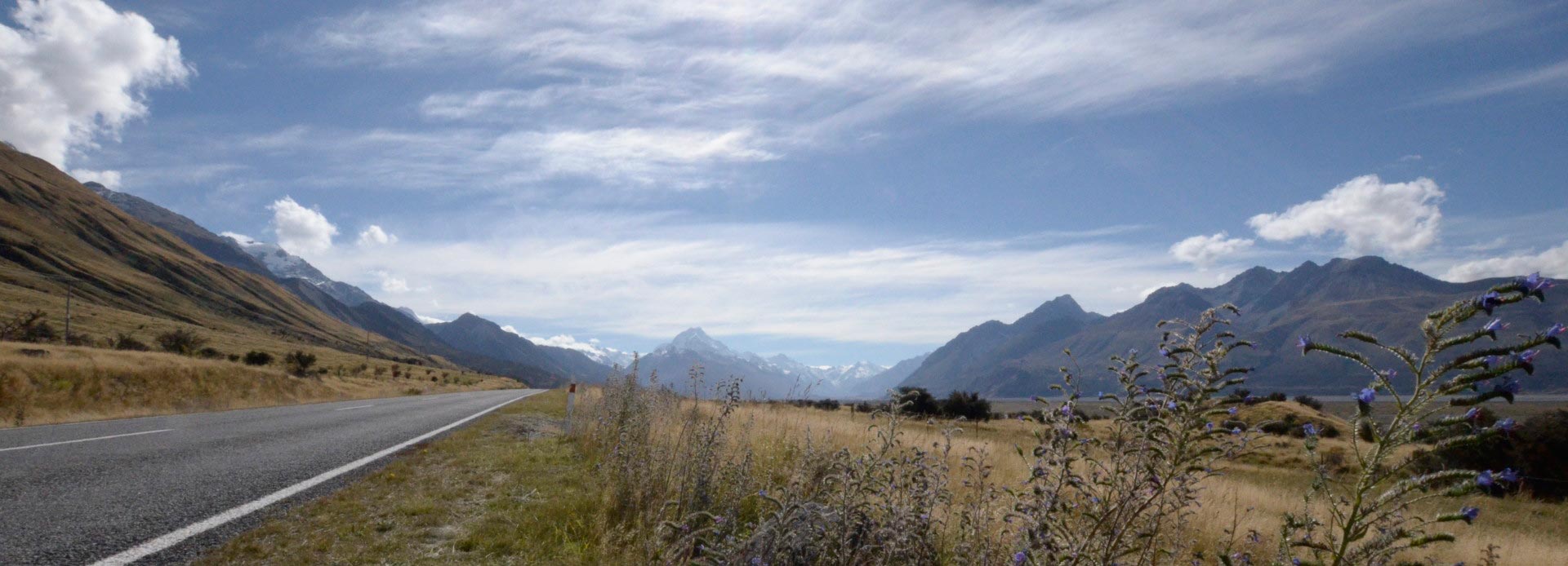 Neuseeland auf dem Weg zum Mount Cook