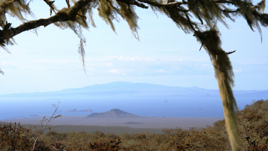 Ecuador Galapagos Safari Camp Ausblick