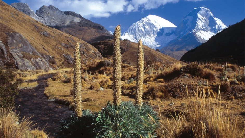 Peru Huaraz Nationalpark Huascaran