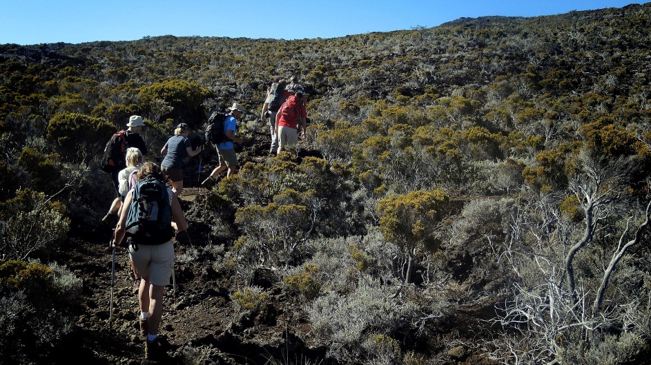 Réunion Wanderung am Piton de la Fournaise