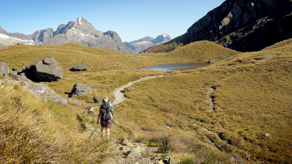 Neuseeland Wanderung Routeburn Track Harris Saddle