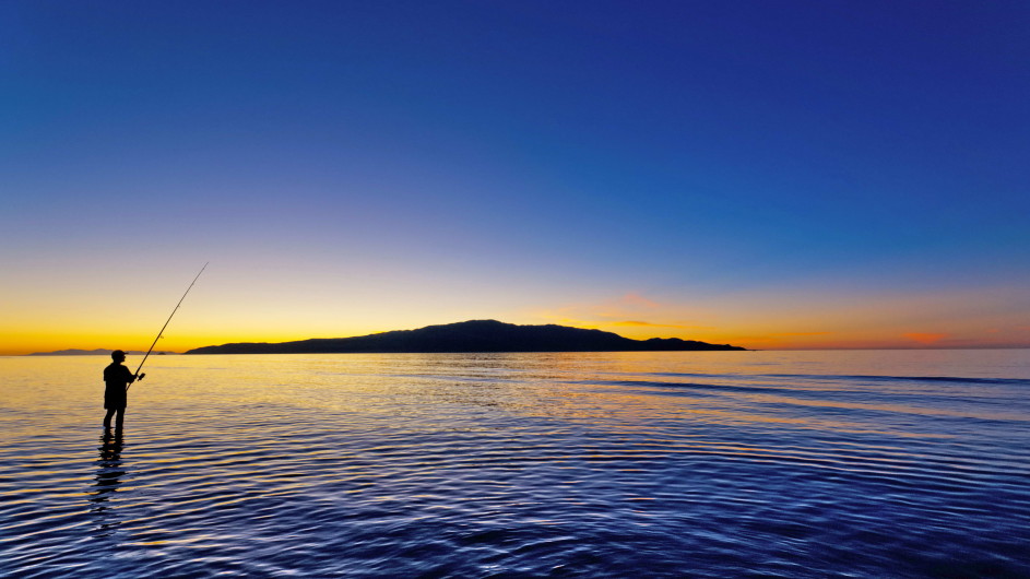 Neuseeland Kapiti Island