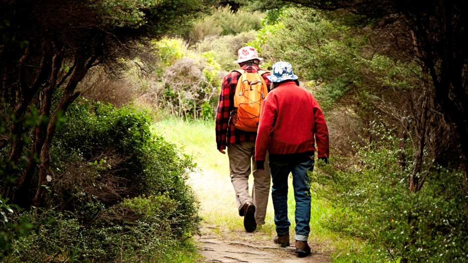 Neuseeland Wanderer