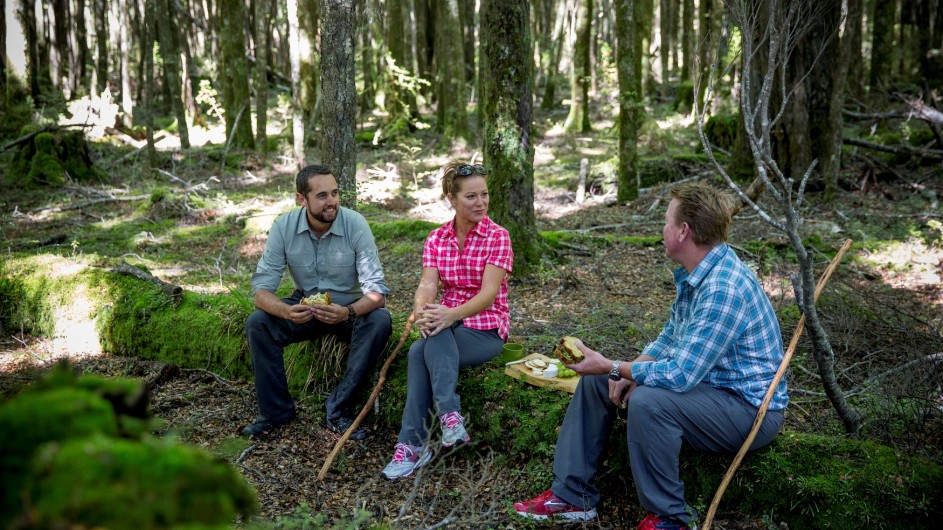 Neuseeland Beech Forest Lunch