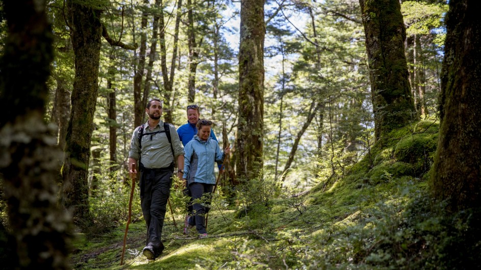 Neuseeland Beach Forest Wanderer