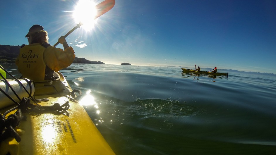 Neuseeland Abel Tasman Nationalpark Kayaktour