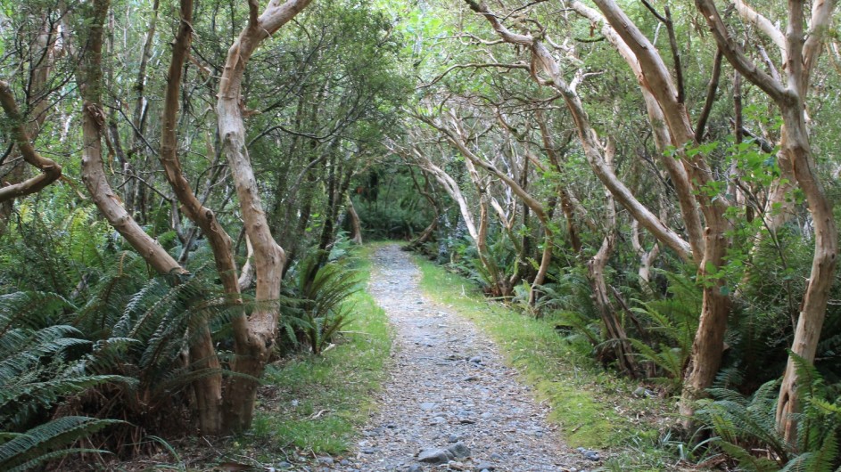 Neuseeland - Milford Track