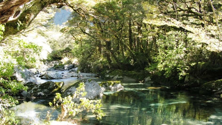 Neuseeland Routeburn River