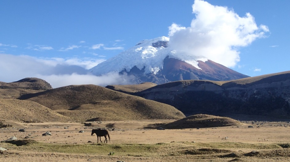 Ecuador Cotopaxi Wandern in den Anden