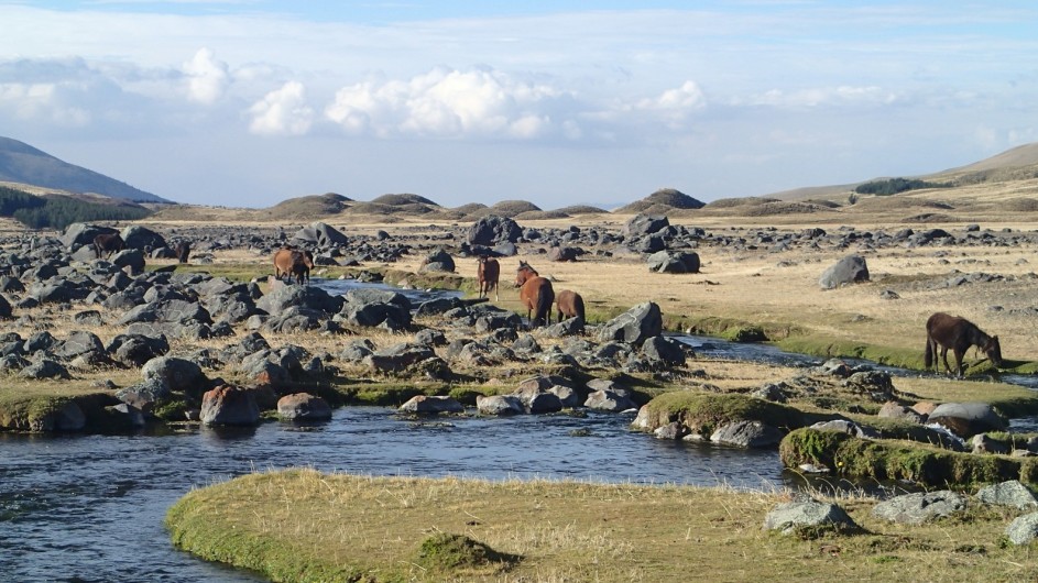 Ecuador Wandern in den Anden