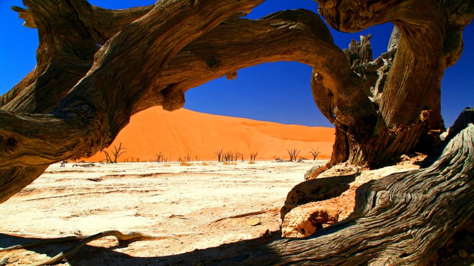 Namibia Sossusvlei Deadvlei