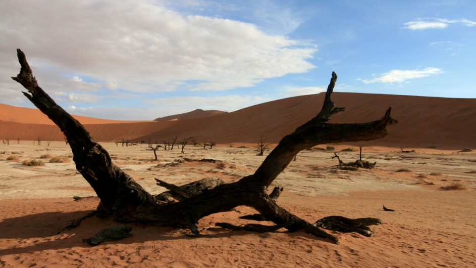 Namibia Namib Wüste Deadvlei