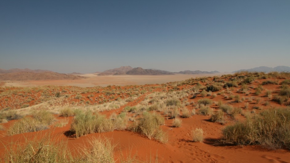 Namibia Namib Wüste