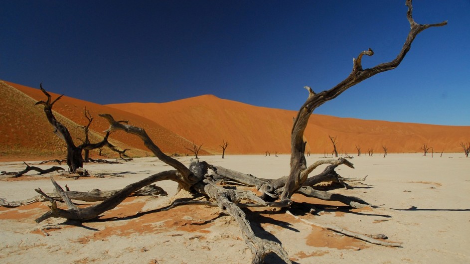 Namibia Sossusvlei Deadvlei