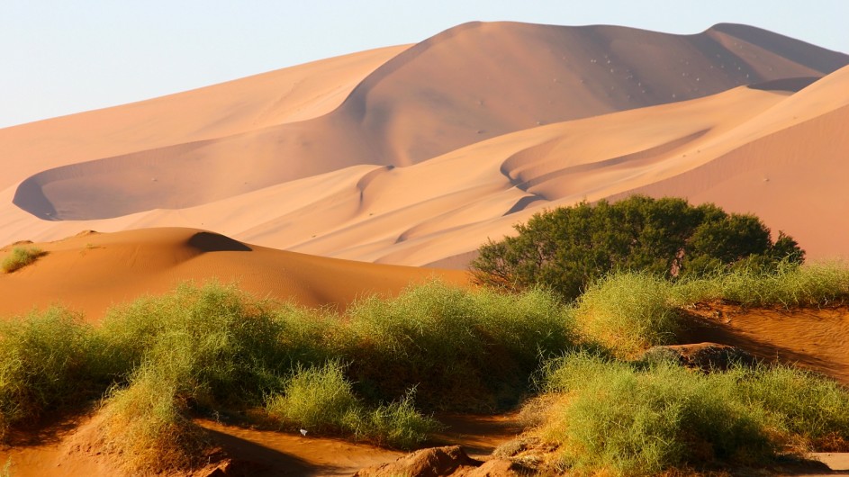 Namibia Namib Naukluft Park Sossusvlei