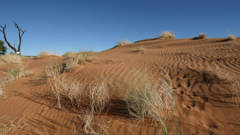 Namibia Wüste bei Rostock Ritz