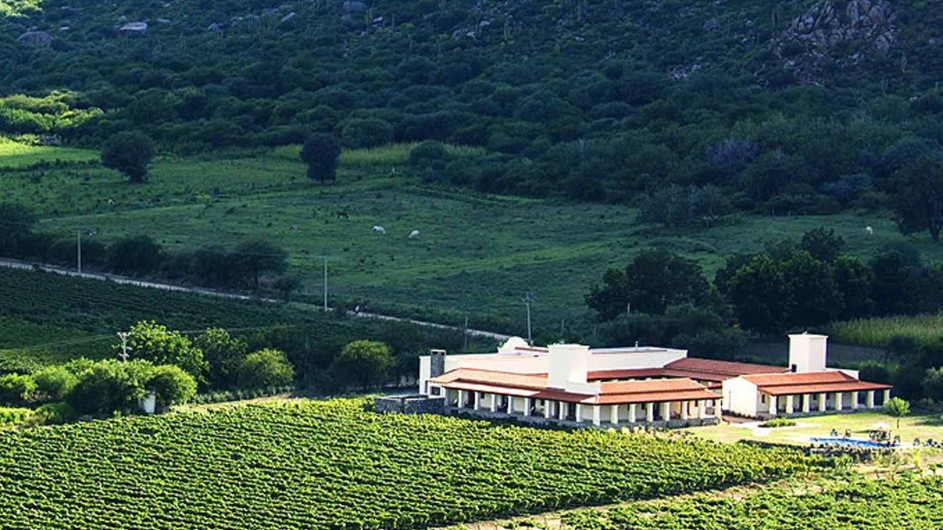 Argentinien Weingut in Cafayate