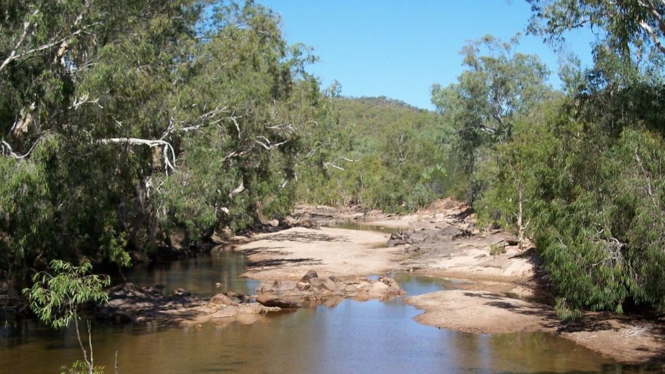 Australien Queensland auf dem Weg nach Chillagoe