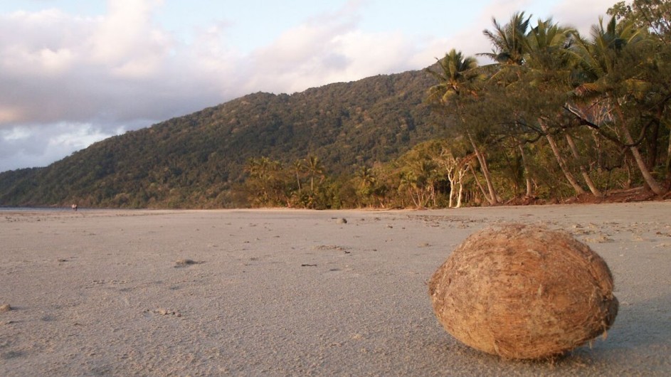 Australien Queensland Cape Tribulation am Strand