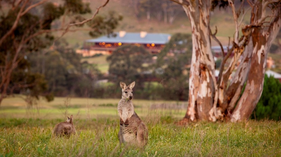 Australien Emirates Wolgan Valley Resort