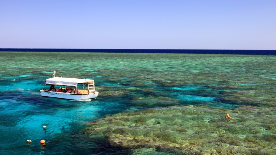 Australien Coral Expedition Ausflug Great Barrier Reef