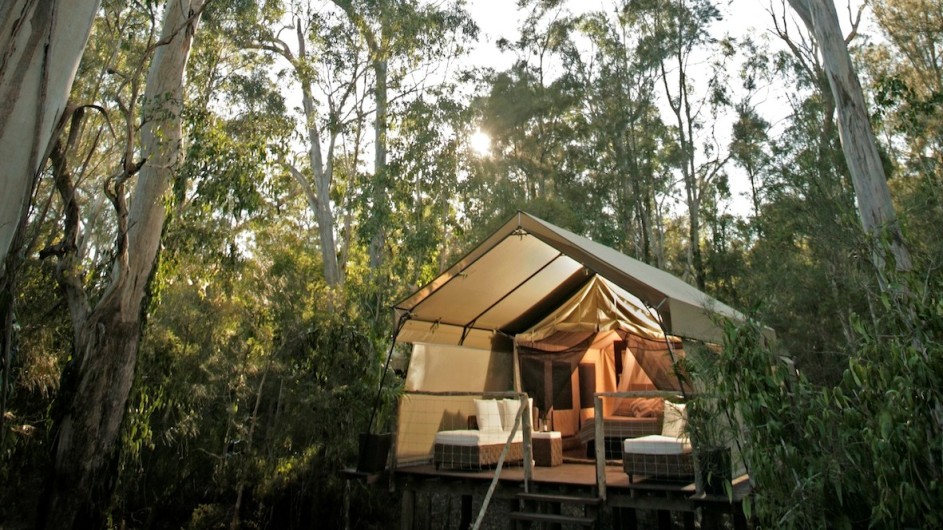 Australien Jervis Bay Paperbark Camp Deluxe Zelt