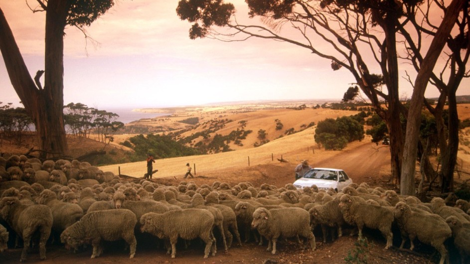 Australien Kangaroo Island Selfdrive