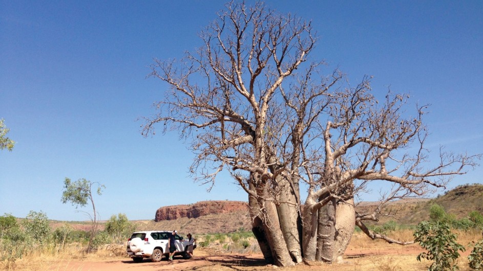 Australien - Kimberley - El Questro Wilderness Park - c Tourism Australia Rich Keam