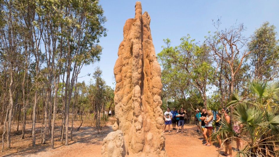 Australien Termintenhügel