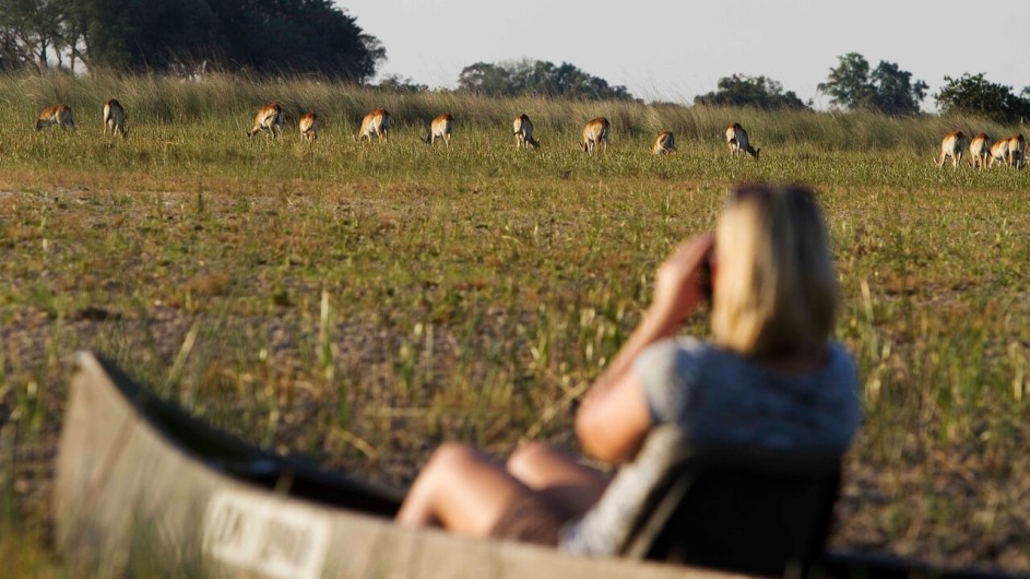 Botswana Camp Okavango Mokoro Ausflug