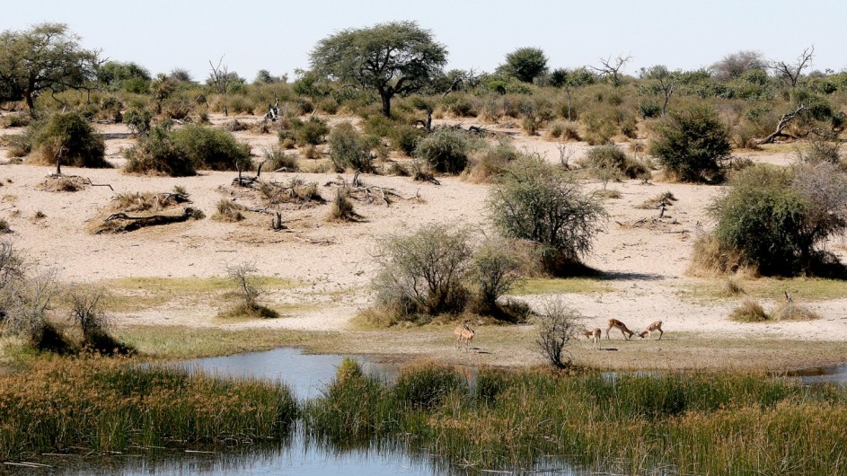 Botswana Kalahari