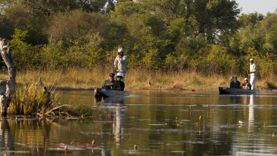 Botswana Letaka Safaris Mokoro Ausflug