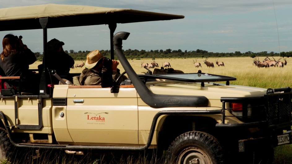 Botswana Letaka Safaris Pirschfahrt