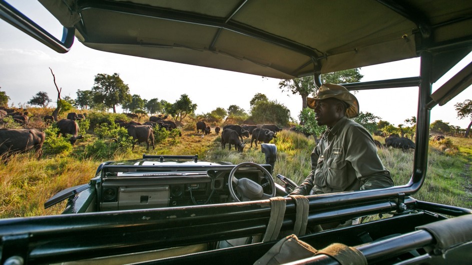 Botswana Okavango Delta Duba Plains Pirschfahrt