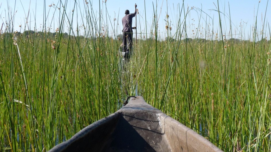 Botswana Mokorofahrt im Okavango Delta
