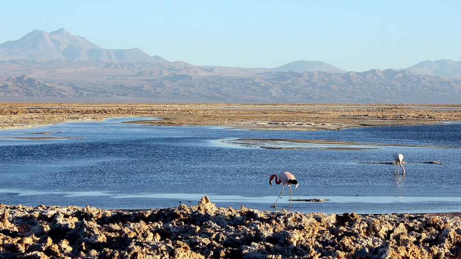 Chile Atacama Wüste Salzsee