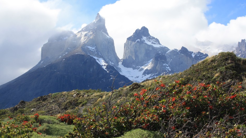 Chile Torres del Paine Hörner