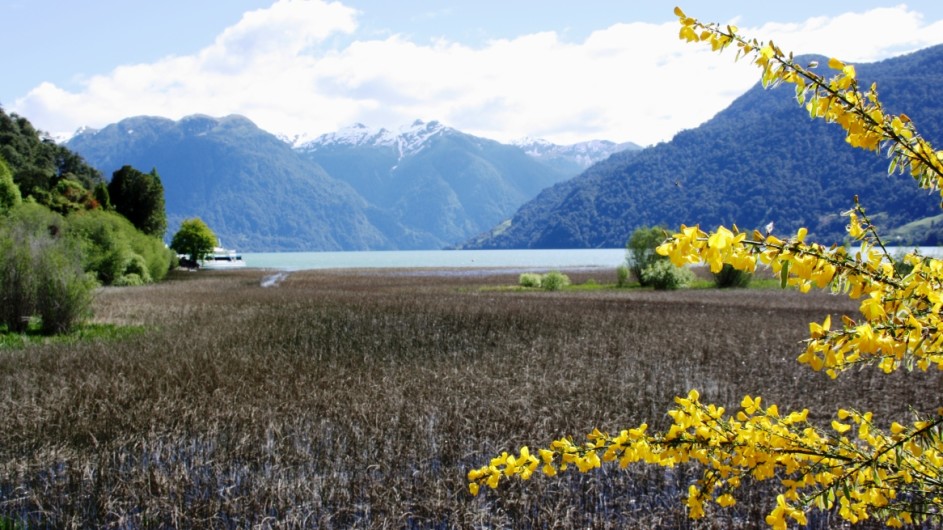 Chile am Lago Petrohue