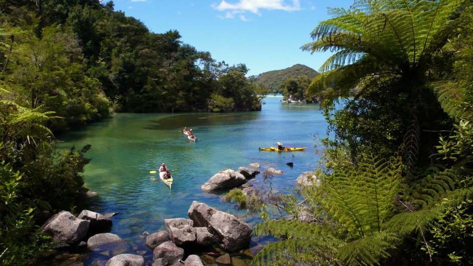 Neuseeland - Abel Tasman Nationalpark Kayaktour