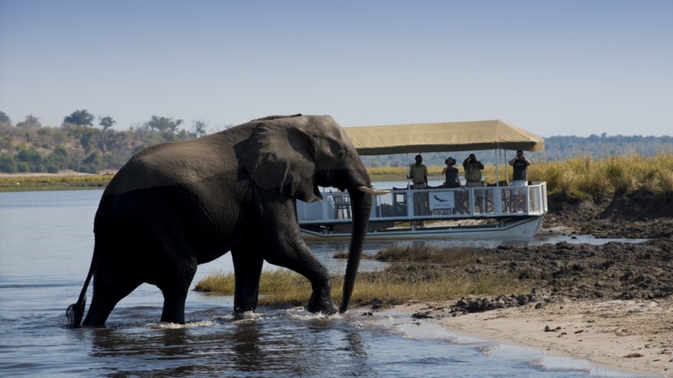 Botswana Expedition Bootsfahrt Chobe Nationalpark