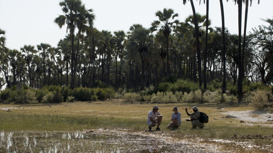 Botswana Expedition Fusspirsch im Okavango Delta