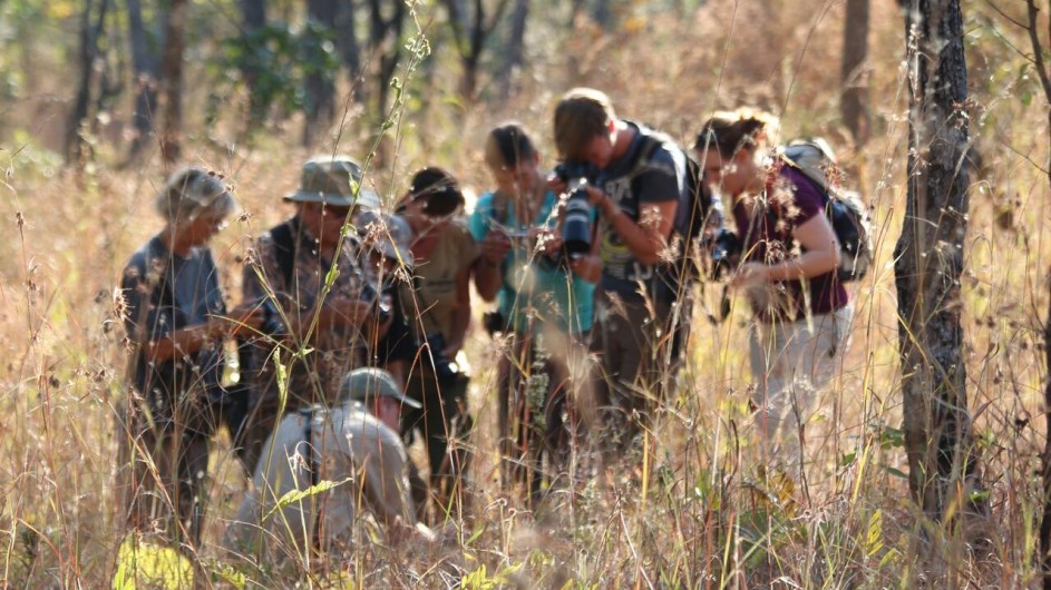 Malawi Dzalanyama Forest Reisegruppe