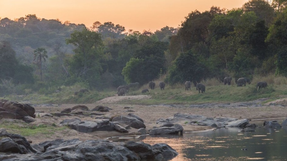 Malawi Nkotakhota Reservat Bua River