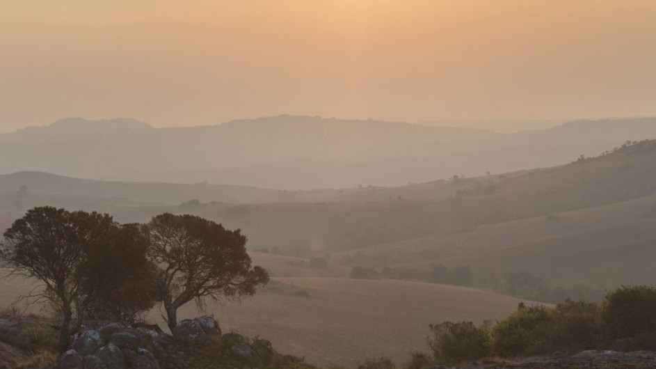 Malawi Nyika Nationalpark