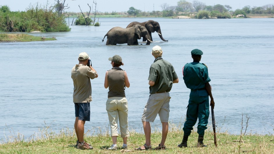 Malawi Mkulumadzi Lodge Elefanten im Majete Wildreservat