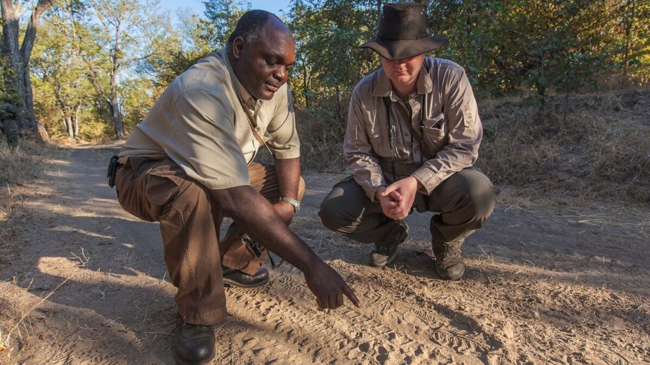 Zambia Island Bush Lodge Spurensuche