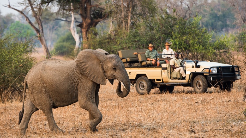 Zambia WAndersafari Pirschfahrt Elefant