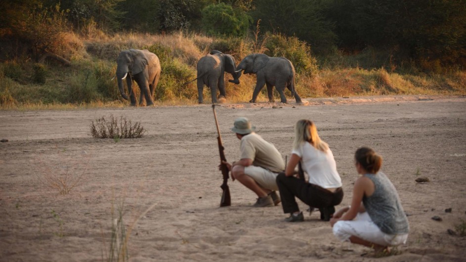 Tanzania Ruaha Nationalpark Jongomero Camp Fußpirsch