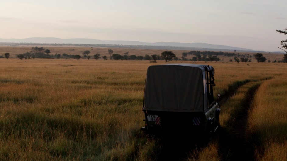 Tanzania Serengeti Olakira Camp Pirschfahrt